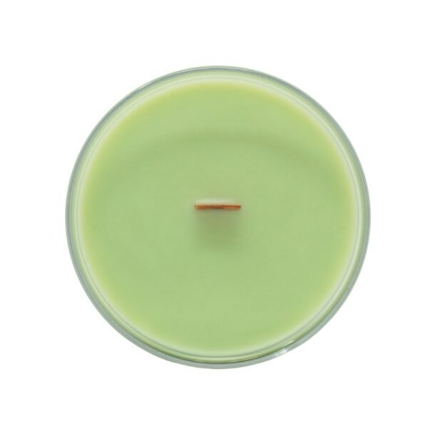 10 Honeydew Melona Candle